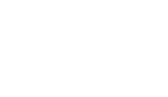 saf logo ( white )